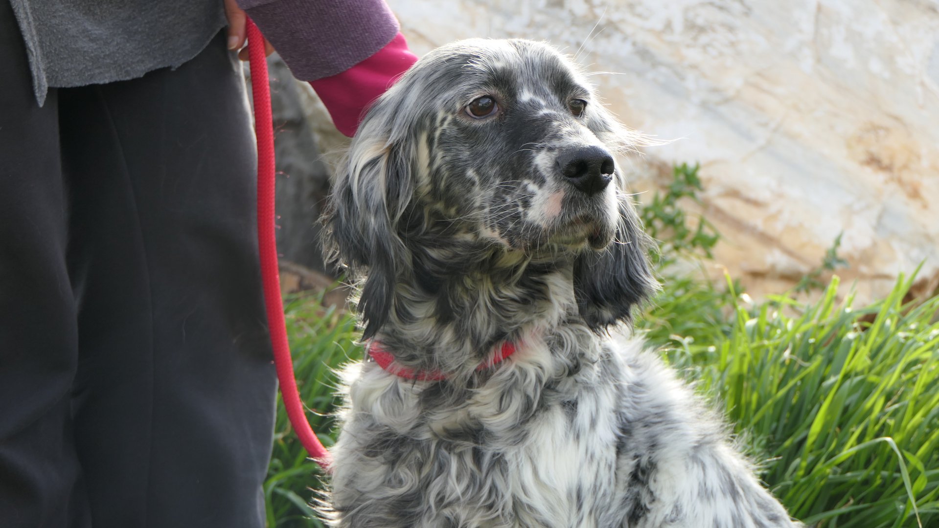 Clio (reserved)