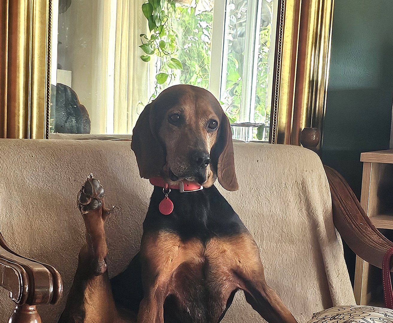 Eftyhia (reserved)