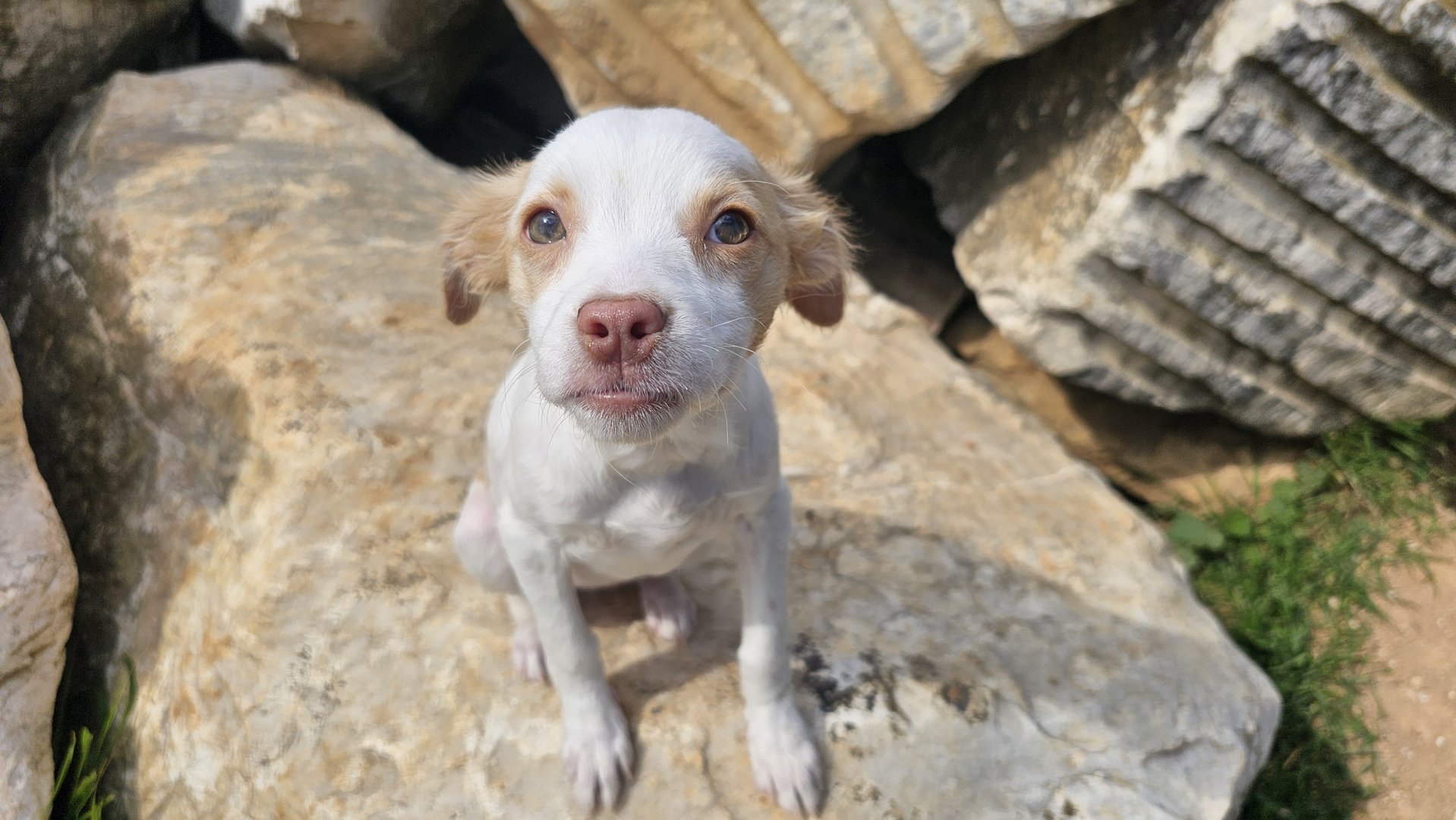 Kimmie (reserved)