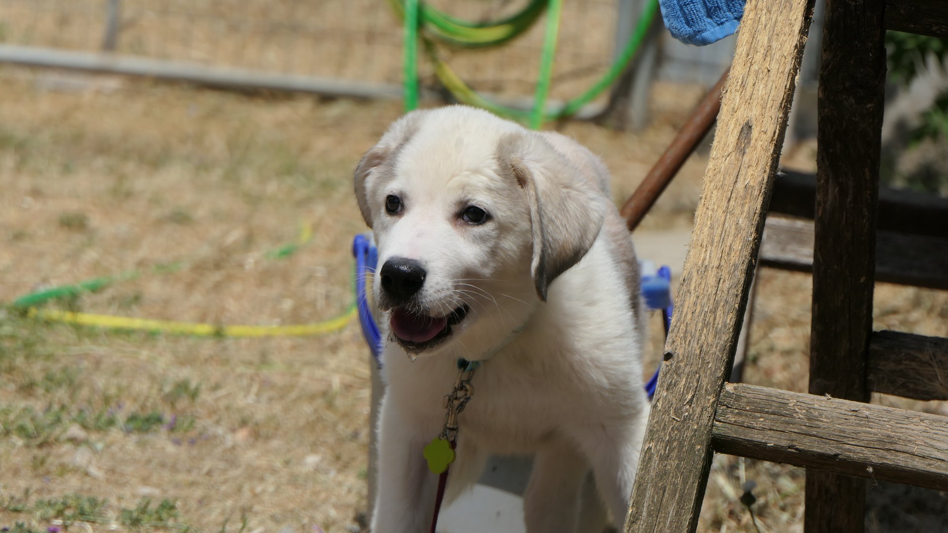 Demis (reserved)