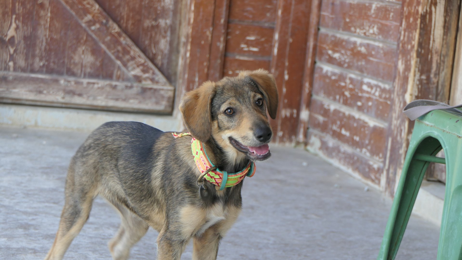 Maya (reserved)