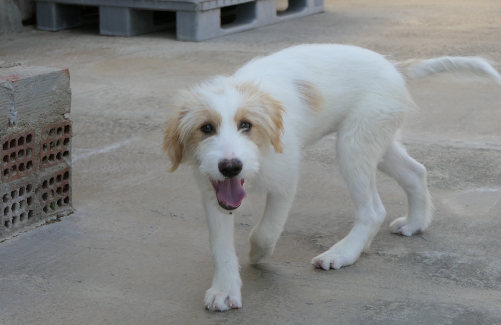 Oscar (reserved)