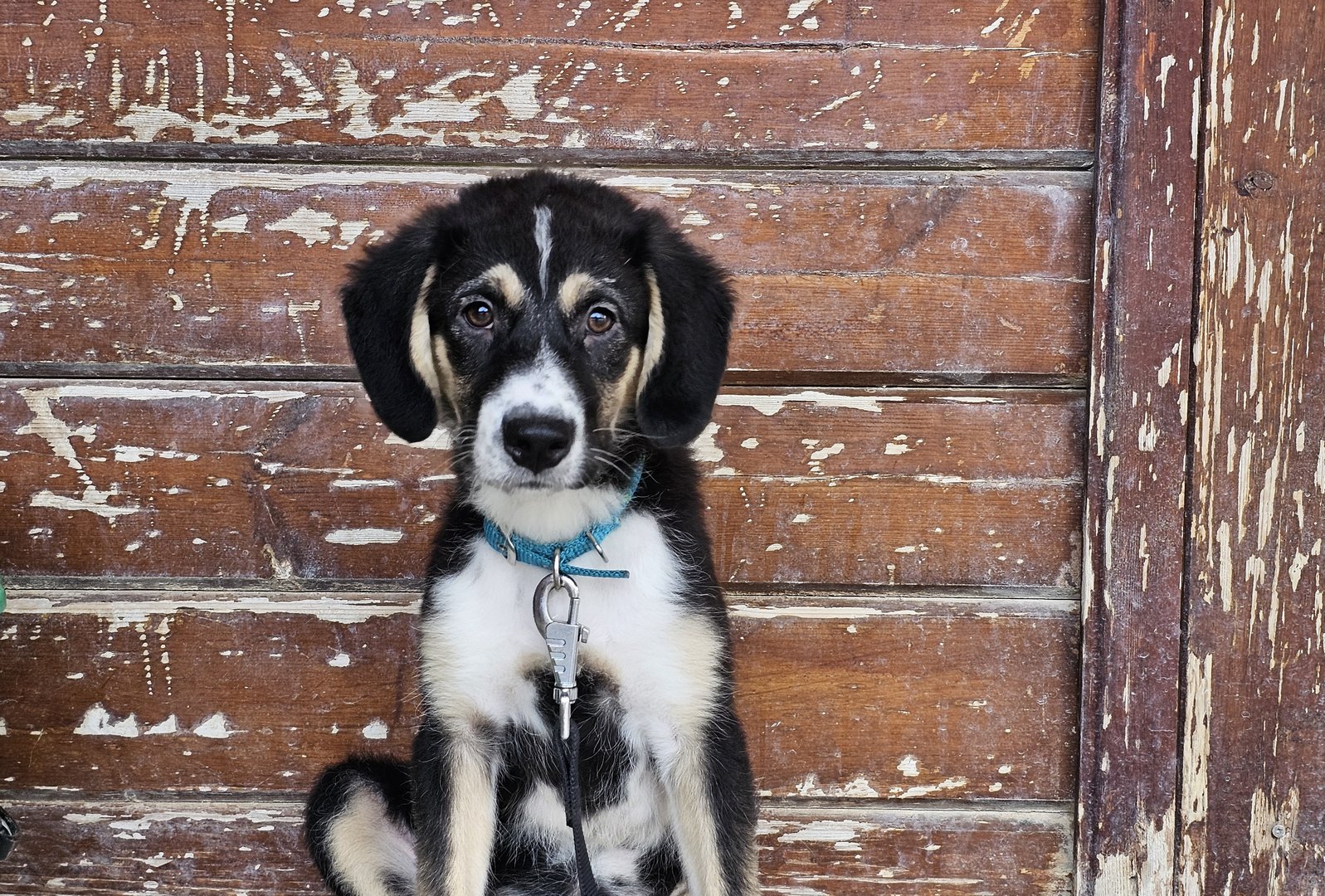 Susana (reserved)
