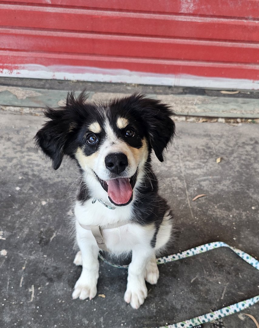 Nefeli (reserved)