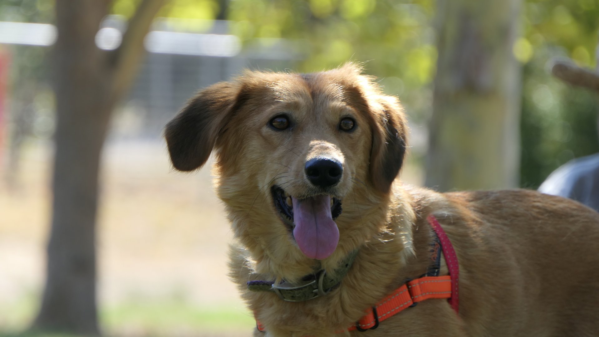 Cookie (reserved)